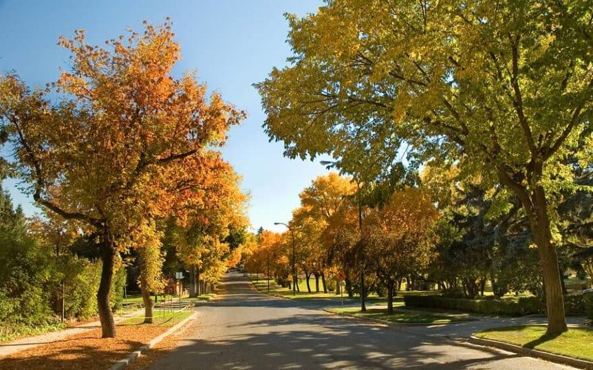 Celebrating the September Equinox